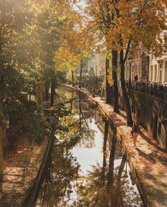 Vlinder'S Utrecht Exterior foto
